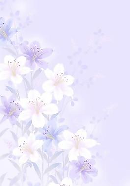 40106_圖案紋理_花紋