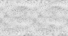 59964_肌理油彩_生物理