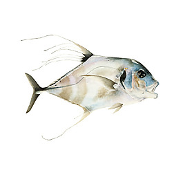 位圖 藝術效果 手繪 動物 魚 免費素材