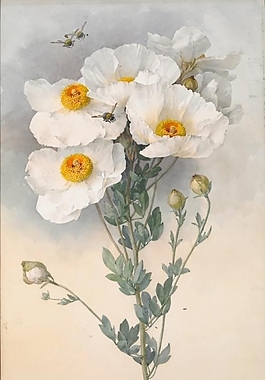 位圖 植物圖案 寫意花卉 花朵 超高清 免費(fèi)素材
