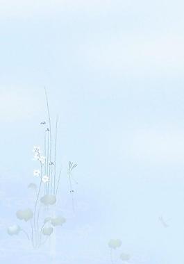 40159_圖案紋理_花紋