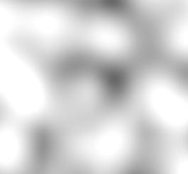 60029_肌理油彩_生物理