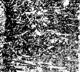60035_肌理油彩_生物理