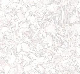 60046_肌理油彩_生物理