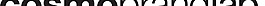 cosmobrandlab_Inc_ logo設(shè)計欣賞 cosmobrandlab_Inc_服飾品牌標(biāo)志下載標(biāo)志設(shè)計欣賞