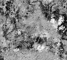 60057_肌理油彩_生物理