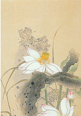 位圖 植物圖案 寫意花卉 花朵 荷花 免費(fèi)素材