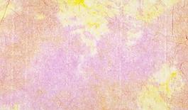 64739_肌理油彩_生物理