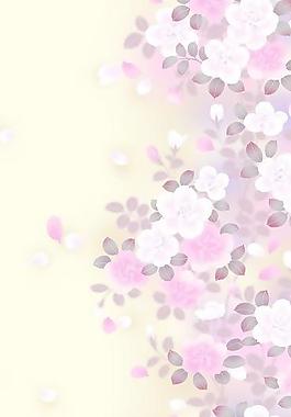 40215_图案纹理_花纹