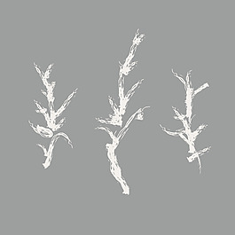 印花矢量图 植物 树 男装 素描 免费素材