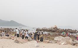 海岸游玩圖片