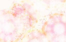40278_圖案紋理_花紋