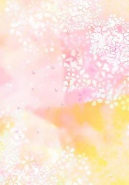 40281_图案纹理_花纹