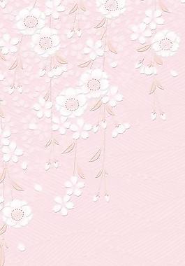 40338_圖案紋理_花紋