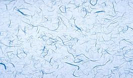 64828_肌理油彩_生物理