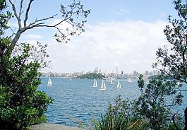 海景图片