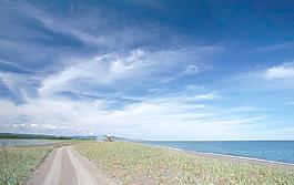 14091_風景_道路