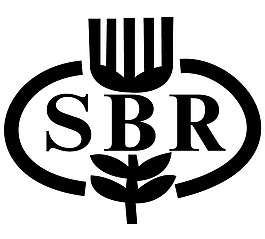 SBR_Bank logo設(shè)計(jì)欣賞 SBR_Bank金融業(yè)標(biāo)志下載標(biāo)志設(shè)計(jì)欣賞