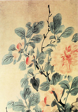 位圖 植物圖案 寫意花卉 花朵 牡丹 免費素材