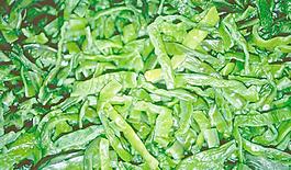 64918_肌理油彩_生物理