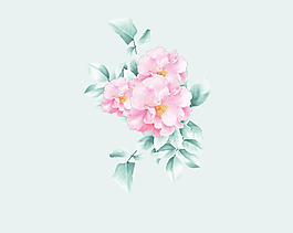 位圖 psd 植物 花朵 牡丹花 免費(fèi)素材