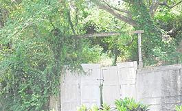 門(mén)扉圖片