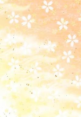40494_圖案紋理_花紋