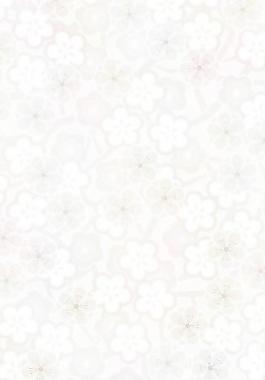 40496_圖案紋理_花紋