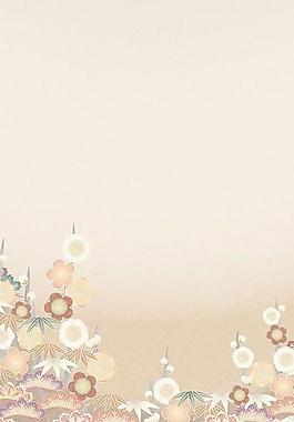 40512_图案纹理_花纹