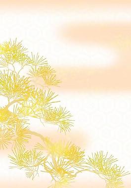 40518_圖案紋理_花紋