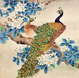 位圖 植物圖案 寫意花卉 花朵 動(dòng)物 免費(fèi)素材