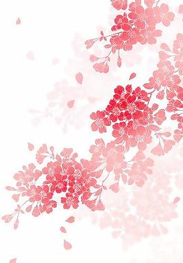 40527_圖案紋理_花紋