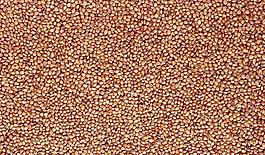 65011_肌理油彩_生物理
