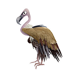 位圖 動(dòng)物 鳥 免費(fèi)素材