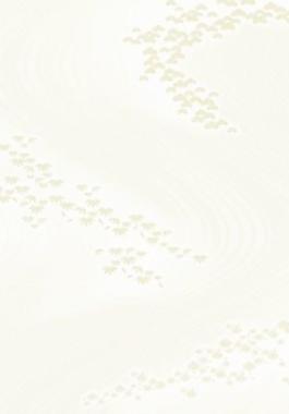 40561_图案纹理_花纹