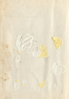 本書的內部55個紋理