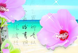 魅力海景图片