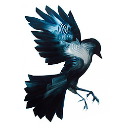 位圖 動物 鳥 免費(fèi)素材