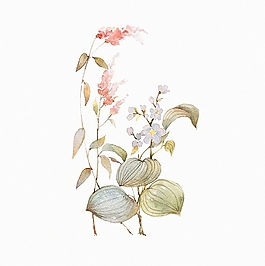 位圖 植物圖案 寫意花卉 花朵 野花 免費(fèi)素材