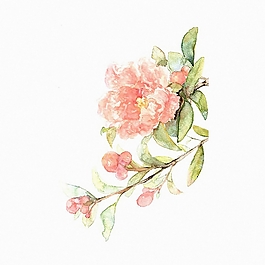 位圖 植物圖案 寫意花卉 花朵 牡丹 免費(fèi)素材