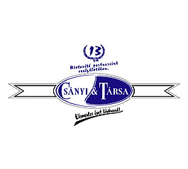 Csanyi_es_Tarsa logo設(shè)計(jì)欣賞 Csanyi_es_Tarsa金融機(jī)構(gòu)標(biāo)志下載標(biāo)志設(shè)計(jì)欣賞