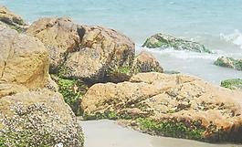 海邊巖石圖片