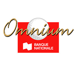 Banque_Nationale logo設(shè)計(jì)欣賞 Banque_Nationale信用卡標(biāo)志下載標(biāo)志設(shè)計(jì)欣賞