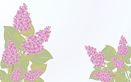 一個(gè)抽象的背景與花
