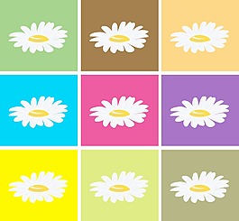 花一個(gè)背景摘要說明