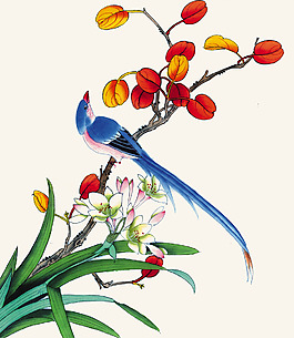 位圖 植物圖案 寫意花卉 花朵 牡丹 免費(fèi)素材