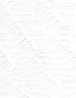 1493_墻面_噴涂凹凸