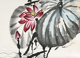 位圖 植物圖案 寫意花卉 花朵 荷花 免費素材