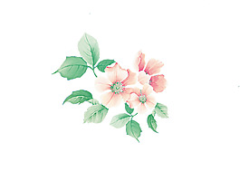 位圖 psd 花朵 家紡 pop原創(chuàng) 免費素材