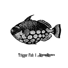 印花矢量圖 動物 魚 文字 英文 免費(fèi)素材